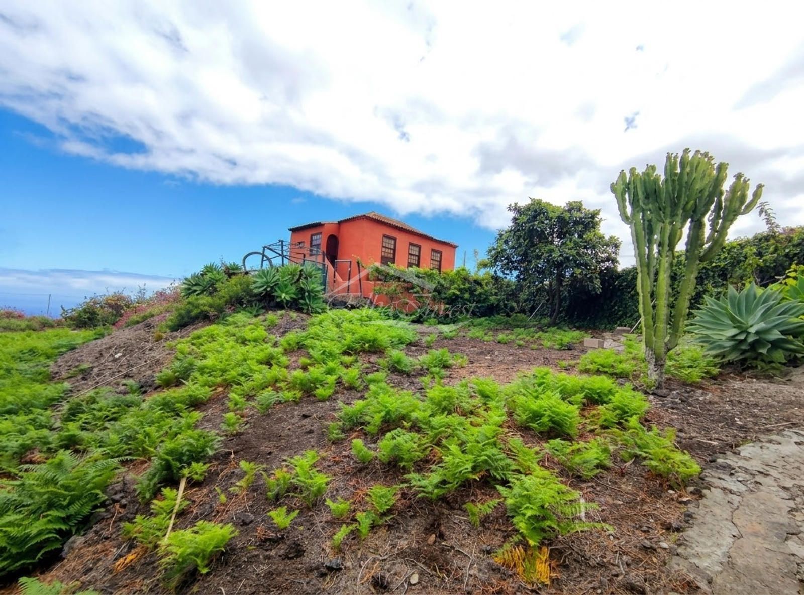 Casa a Icod de Los Vinos, Tenerife - Foto 3