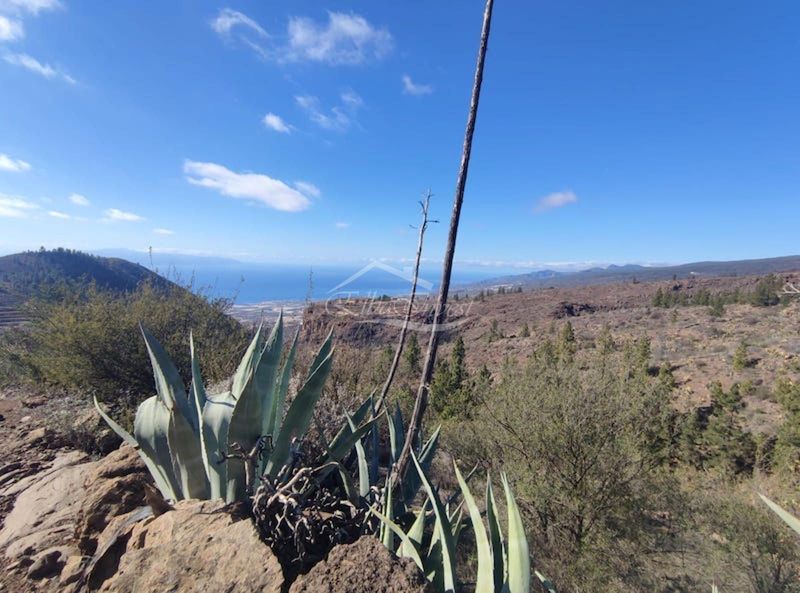 Terreno in vendita Tejina De Isora, Santa Cruz Tenerife. Ref: 5733. Elba Invest Inmobiliaria