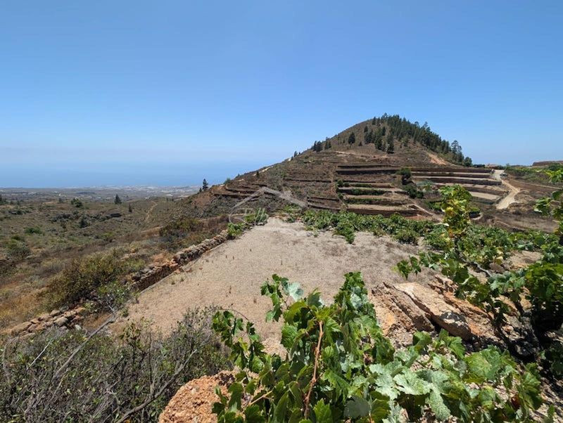 Terreno in vendita Tejina De Isora, Santa Cruz Tenerife. Ref: 5813. Elba Invest Inmobiliaria