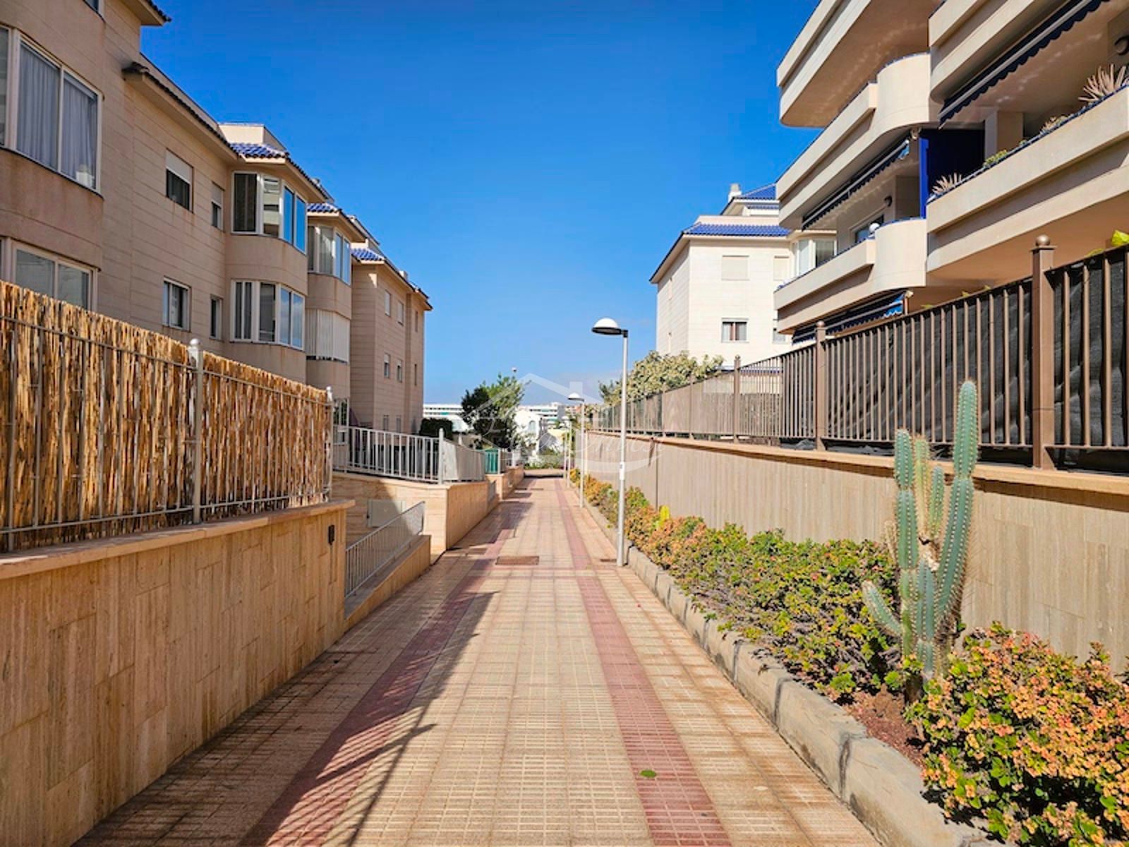 Piso en alquiler  Arona  42/43