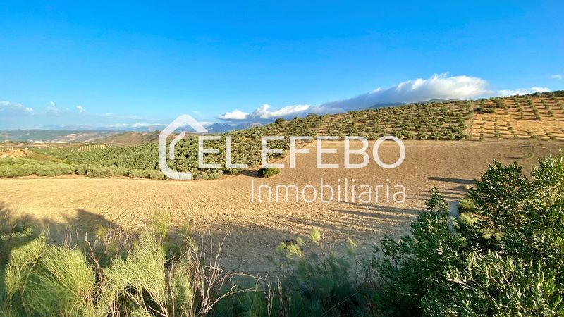 Gelände zu verkaufen Antequera, Málaga. Ref: 1023. EL EFEBO Inmobiliaria