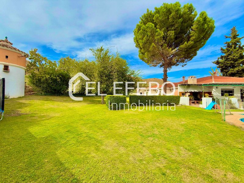 Chalet Independiente en venta Antequera, Málaga. Ref: 1199. EL EFEBO Inmobiliaria