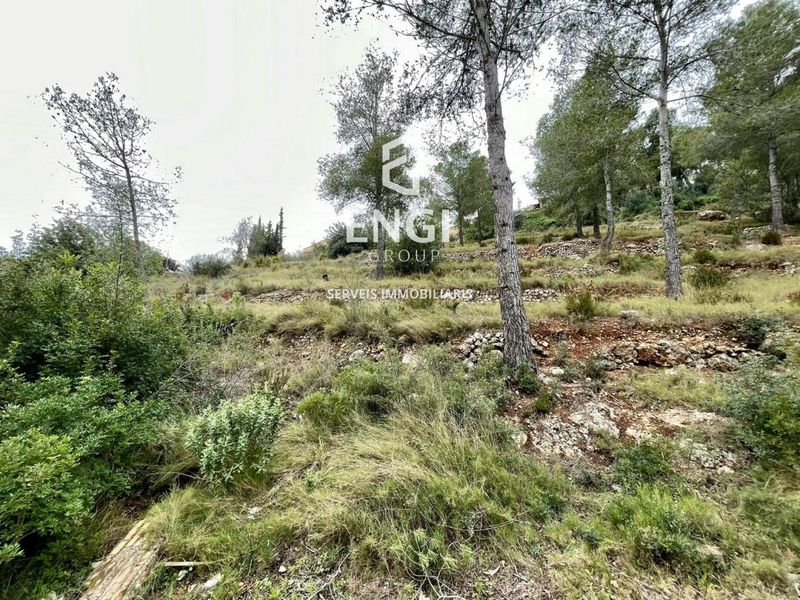 Terreny en venda La Bisbal del Penedes, Tarragona. Ref: 1088. Engi Group Serveis Immobiliaris