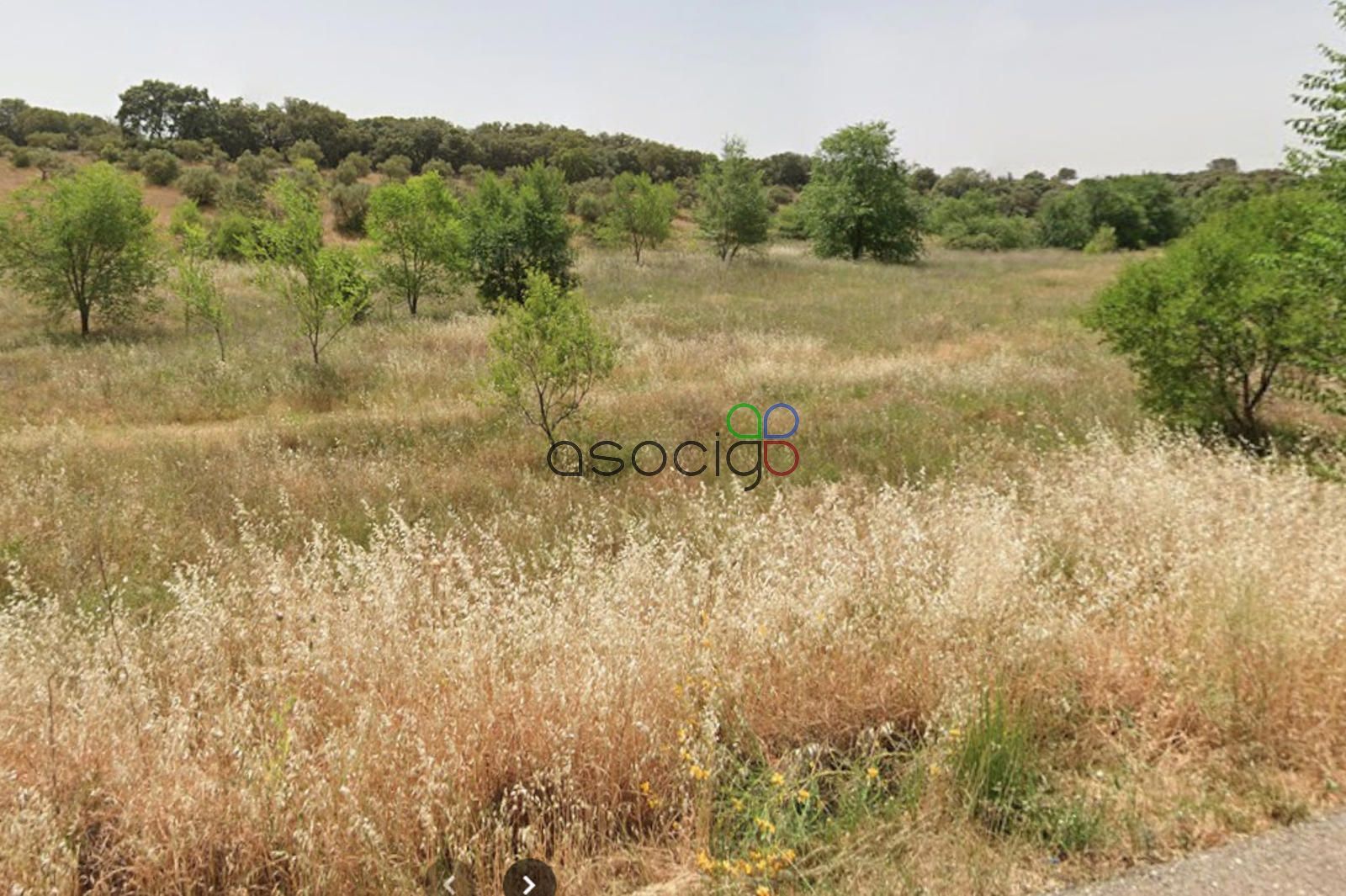 Parcela en venta Pioz, Guadalajara. Ref: 3631. ESTILO INMOBILIARIA