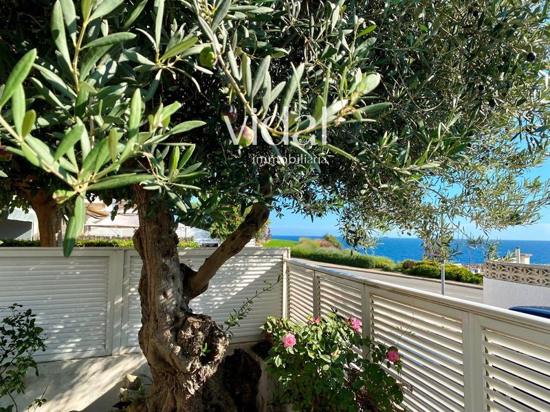 Casa en alquiler Palamós, Girona. Ref: 1135. Vidal Immobiliària