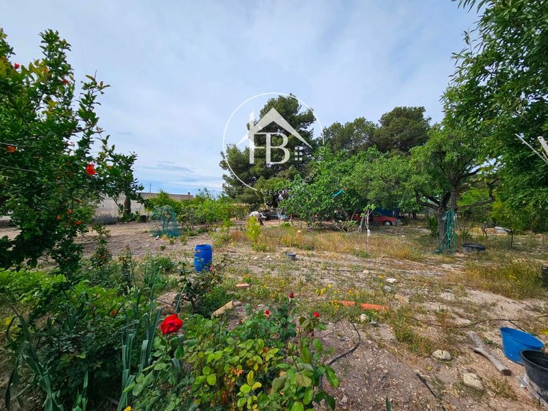 Parcela en venta Mutxamel, Alicante. Ref: 1109. FB ASESOR INMOBILIARIO