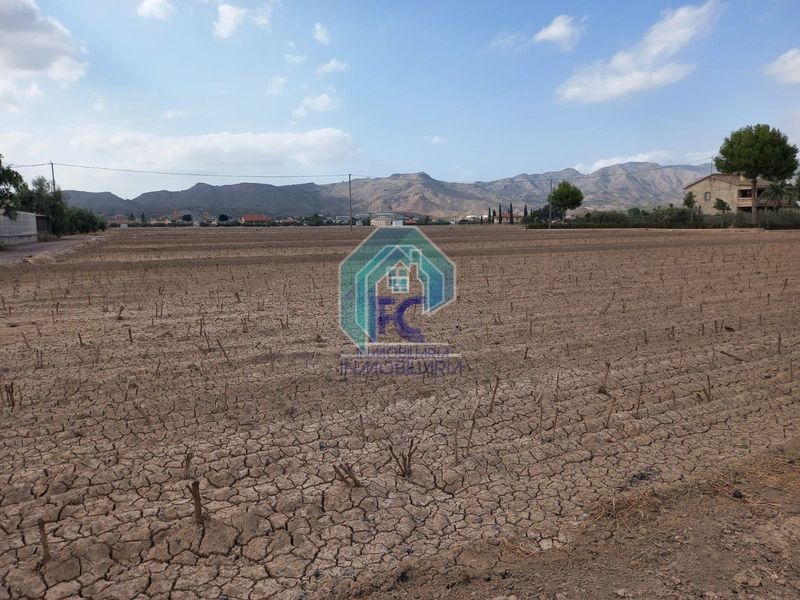 Parcela en venta Lorca, Murcia. Ref: 1162. FC inmobiliaria