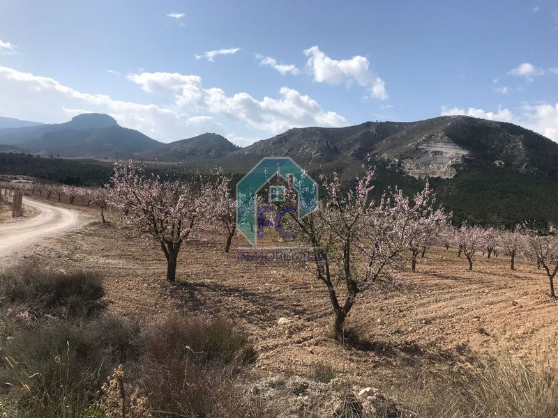 Parcela en venta Lorca, Murcia. Ref: 1252. FC inmobiliaria