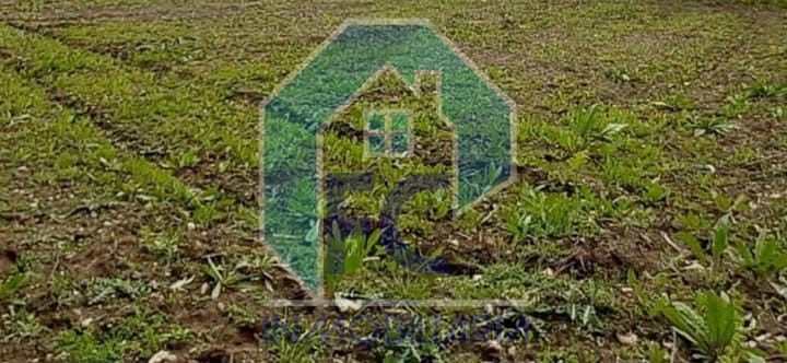 Parcela en venta Puerto Lumbreras, Murcia. Ref: 1372. FC inmobiliaria