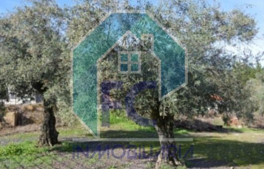 Parcela en venta Lorca, Murcia. Ref: 1405. FC inmobiliaria