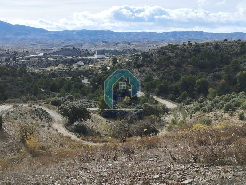 Parcela en venta Lorca, Murcia. Ref: 1447. FC inmobiliaria