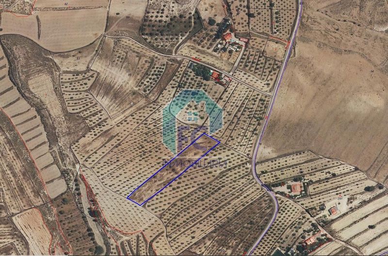 Parcela en venta Lorca, Murcia. Ref: 1512. FC inmobiliaria