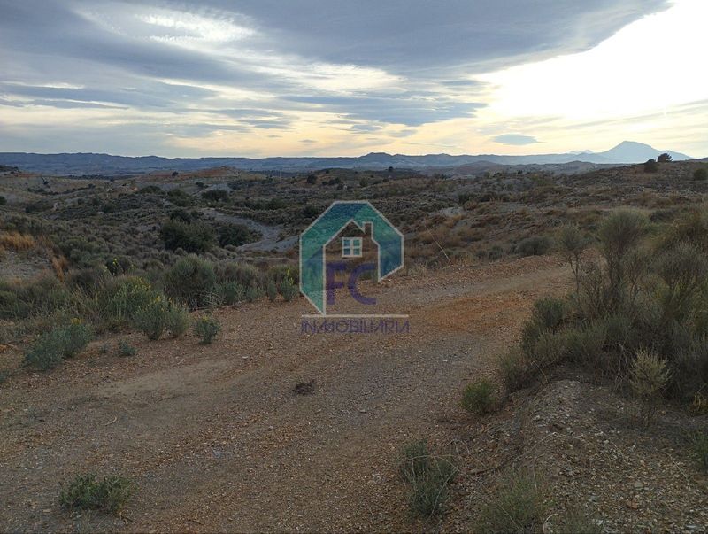 Parcela en venta Lorca, Murcia. Ref: 1713. FC inmobiliaria