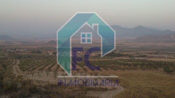 Parcela en venta Lorca, Murcia. Ref: 1714. FC inmobiliaria