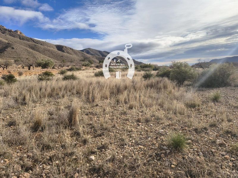 Parcela en venta Hondon De Las Nieves, Alicante. Ref: 1708. F.C Servicios Inmobiliarios