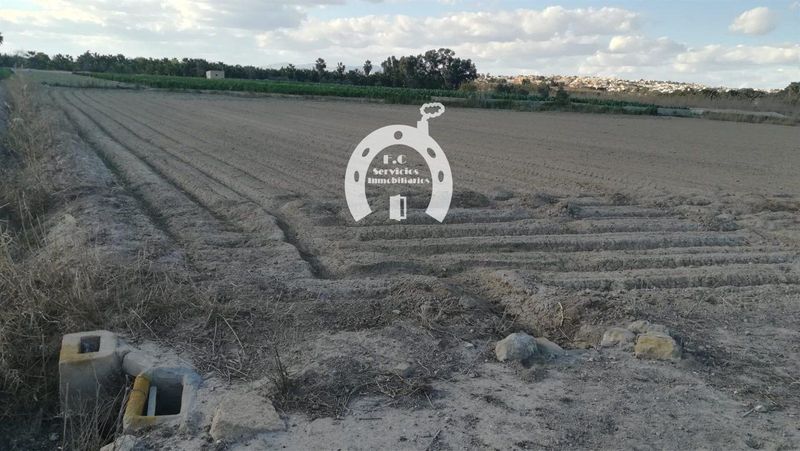 Parcela en venta San Fulgencio, Alicante. Ref: 1839. F.C Servicios Inmobiliarios