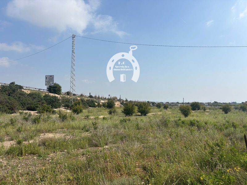 Parcela en venta Marina Del Pinet,  La, Alicante. Ref: 2437. F.C Servicios Inmobiliarios