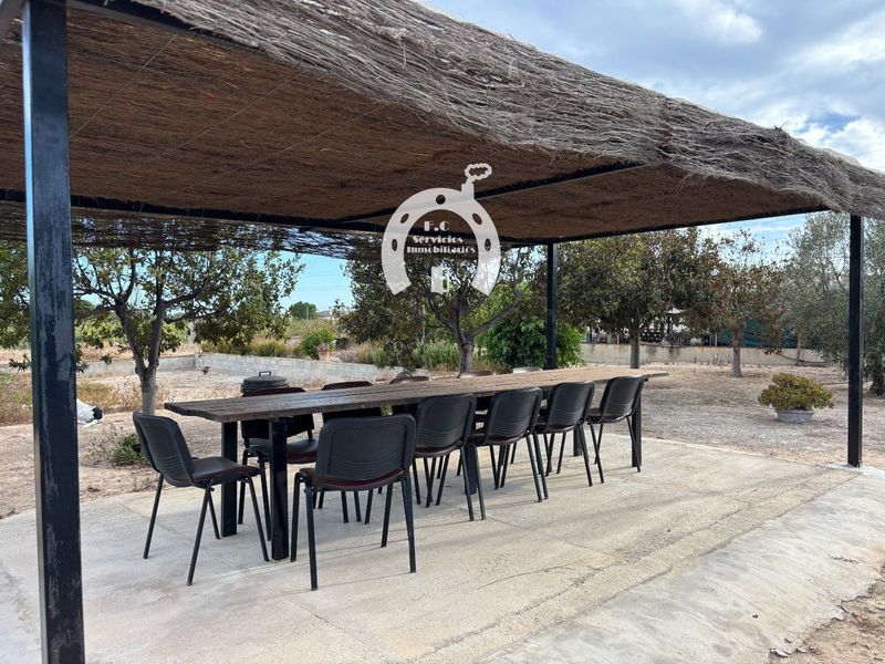 Nave Industrial en venta Elche/Elx, Alicante. Ref: 2455. F.C Servicios Inmobiliarios