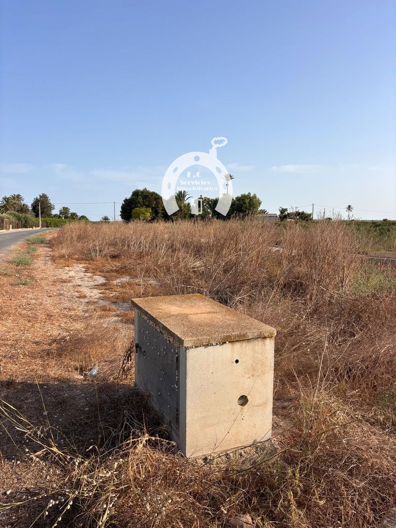 Parcela en venta Elche/Elx, Alicante. Ref: 2461. F.C Servicios Inmobiliarios