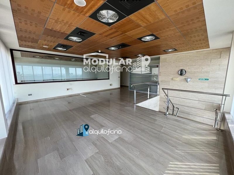 Oficina en alquiler Elche/Elx, Alicante. Ref: 1165. AlquilOficina