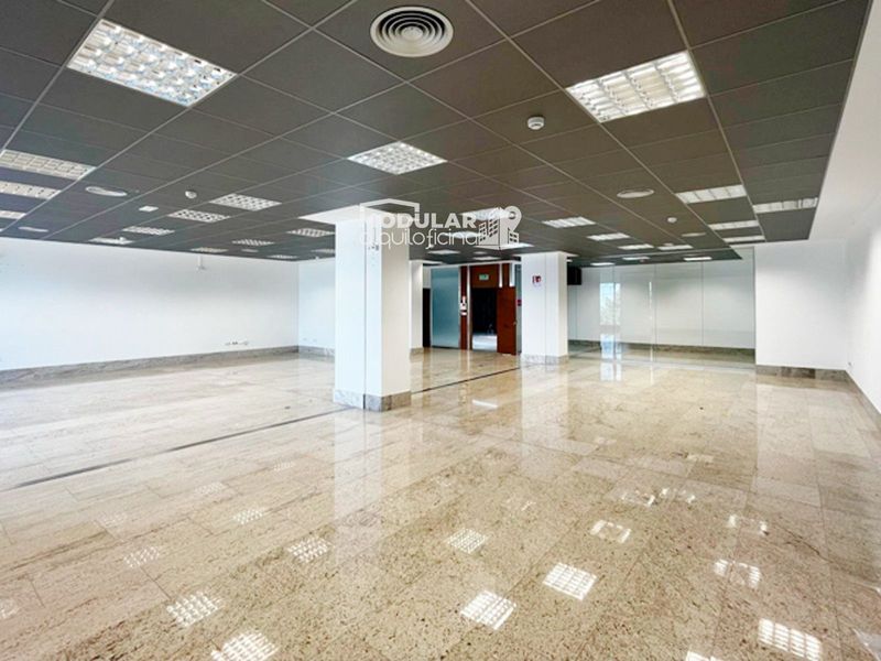 Oficina en alquiler Elche/Elx, Alicante. Ref: 1552. AlquilOficina