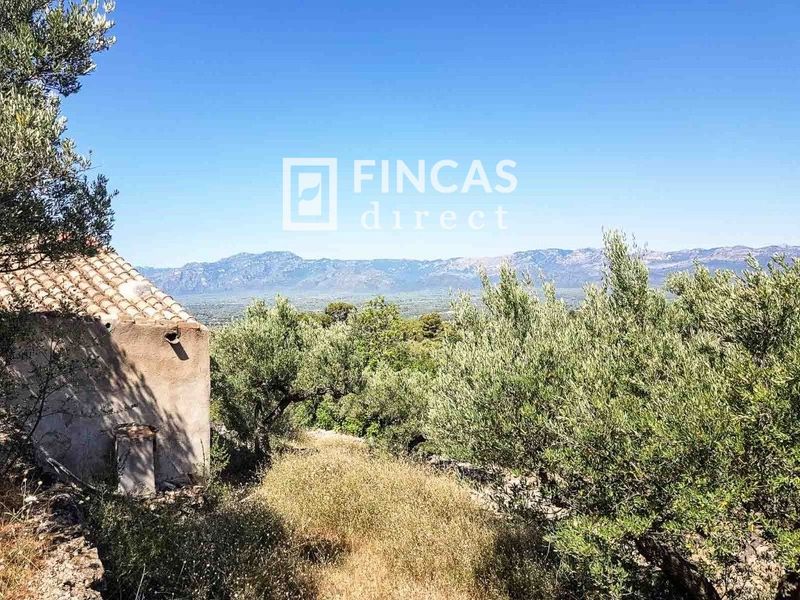Landhaus zu verkaufen Tortosa, Tarragona. Ref: 1026. Fincas Direct 
