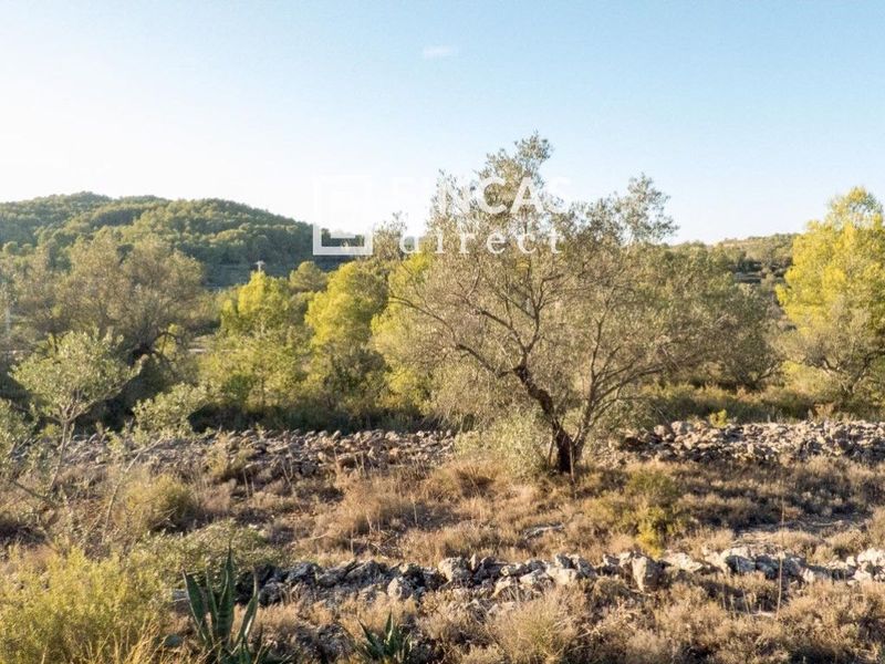 Parcela en venta El Perelló, Tarragona. Ref: 1032. Fincas Direct 