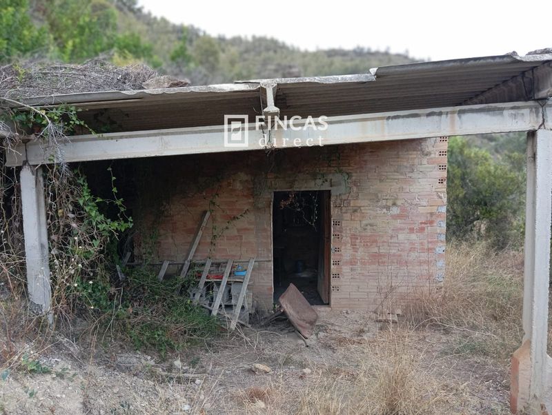 Finca rústica en venta Benifallet, Tarragona. Ref: 1065. Fincas Direct 
