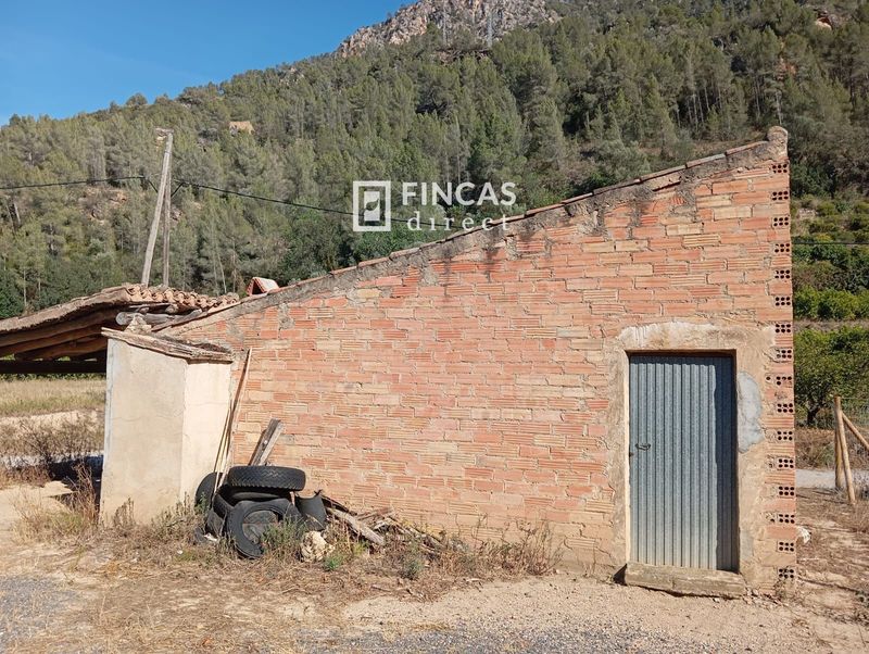 Finca rústica en venta Benifallet, Tarragona. Ref: 1067. Fincas Direct 