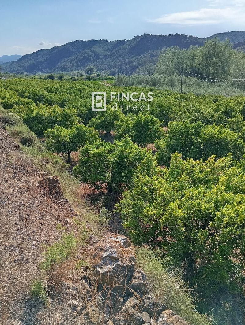 Maison de campagne en vente Benifallet, Tarragona. Ref: 1067. Fincas Direct 