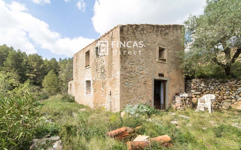 коммерческое помещение на продажу Pratdip, Tarragona. Ref: 1091. Fincas Direct 