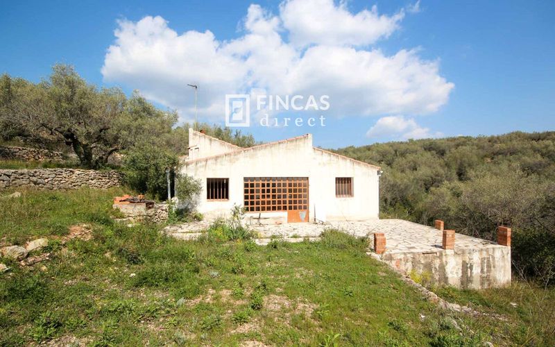 Landhaus zu verkaufen Tortosa, Tarragona. Ref: 1093. Fincas Direct 