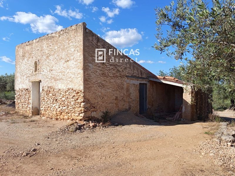 Finca rústica en venta L