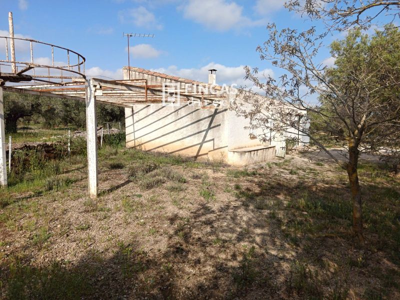 Country house for sale Camarles, Tarragona. Ref: 1100. Fincas Direct 