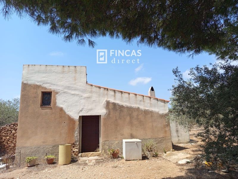 Finca rústica en venta Camarles, Tarragona. Ref: 1106. Fincas Direct 
