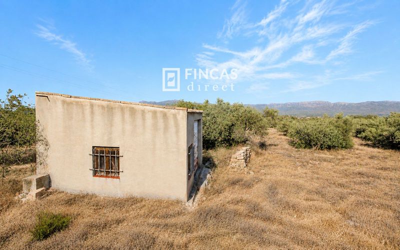 Landhaus zu verkaufen Xerta, Tarragona. Ref: 1133. Fincas Direct 