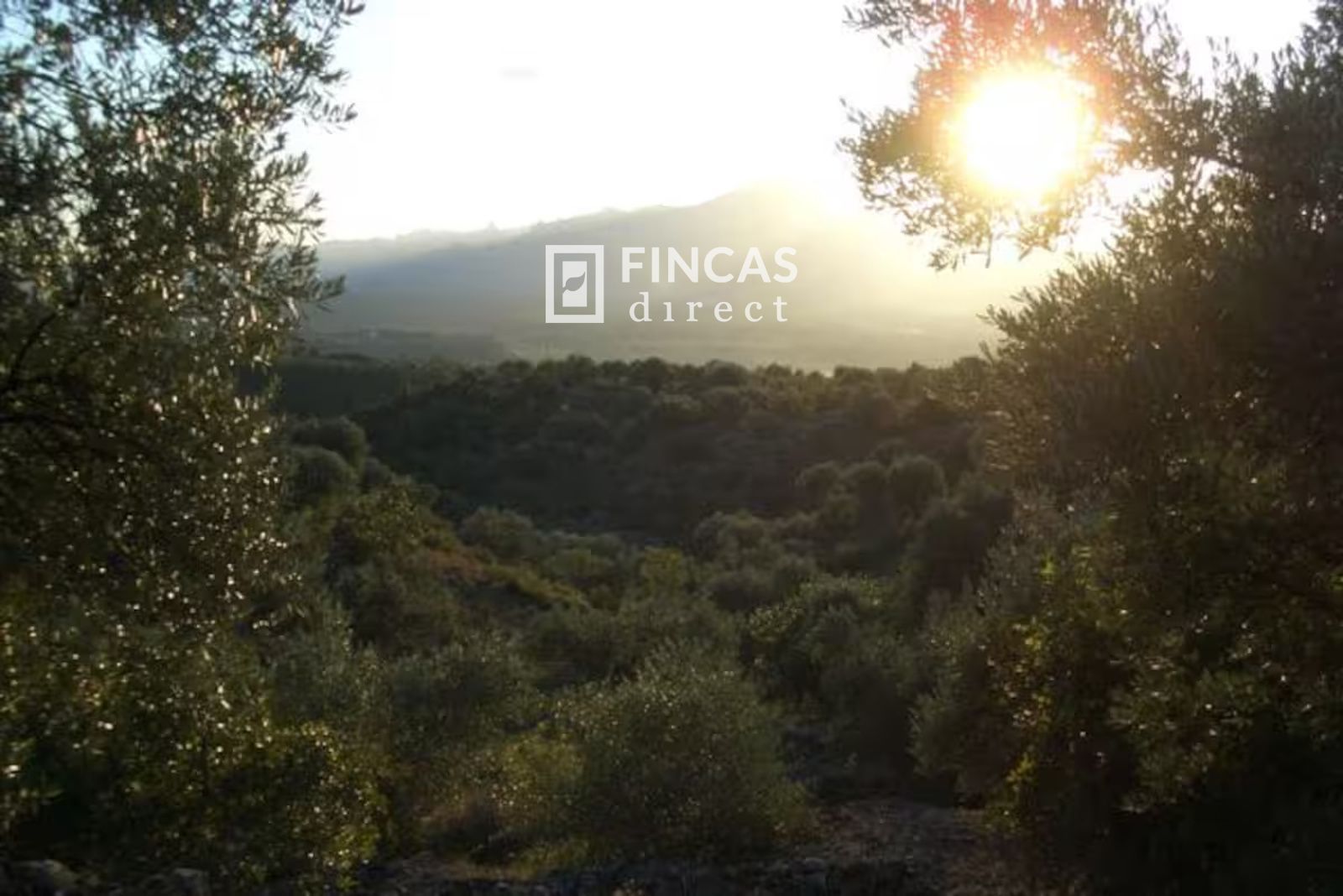 Casa Cueva Única. Fuera de Red cerca de Tivenys: Finca con Licencia Turística y Vistas Panorámicas - Foto 66