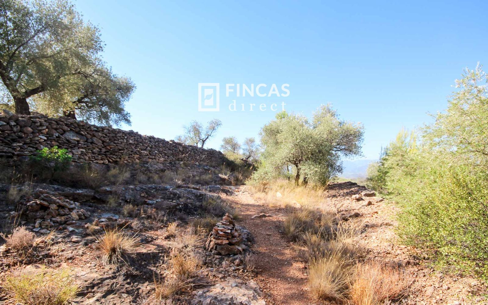 Casa Cueva Única. Fuera de Red cerca de Tivenys: Finca con Licencia Turística y Vistas Panorámicas - Foto 55