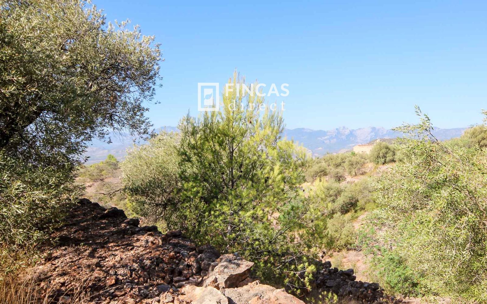 Casa Cueva Única. Fuera de Red cerca de Tivenys: Finca con Licencia Turística y Vistas Panorámicas - Foto 56