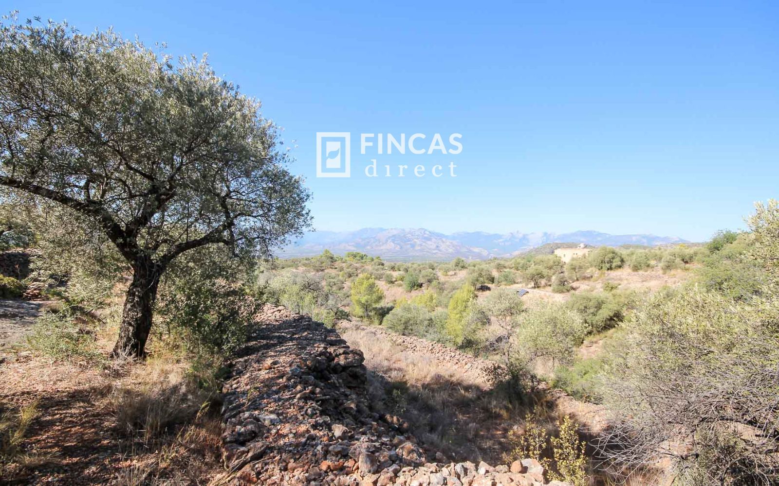 Casa Cueva Única. Fuera de Red cerca de Tivenys: Finca con Licencia Turística y Vistas Panorámicas - Foto 57