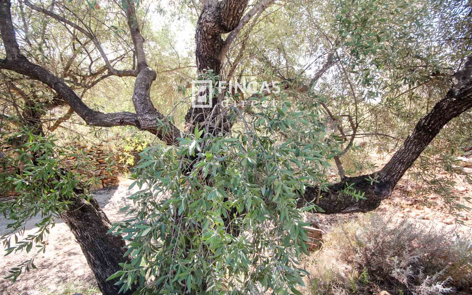 Casa Cueva Única. Fuera de Red cerca de Tivenys: Finca con Licencia Turística y Vistas Panorámicas - Foto 59