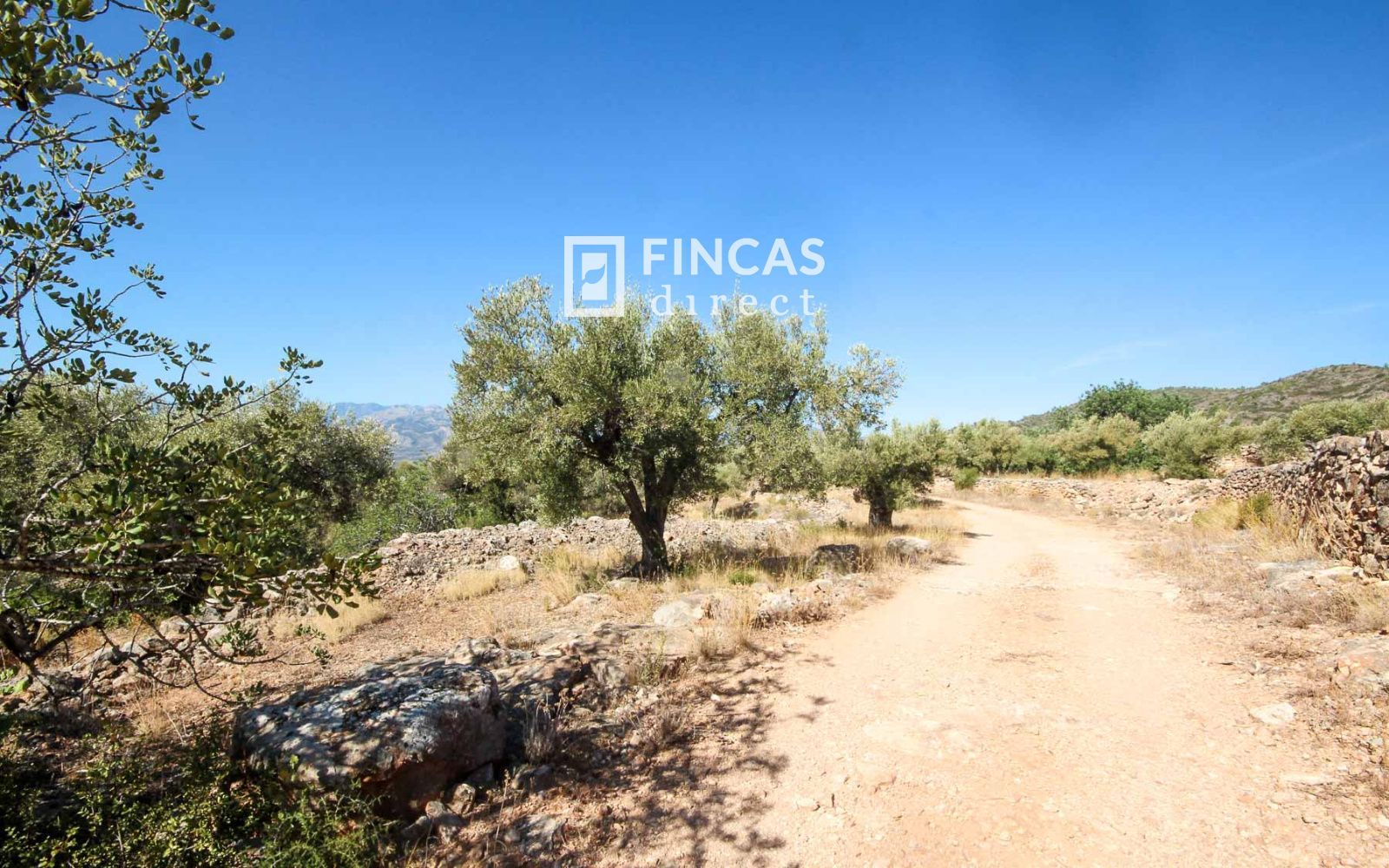 Casa Cueva Única. Fuera de Red cerca de Tivenys: Finca con Licencia Turística y Vistas Panorámicas - Foto 61