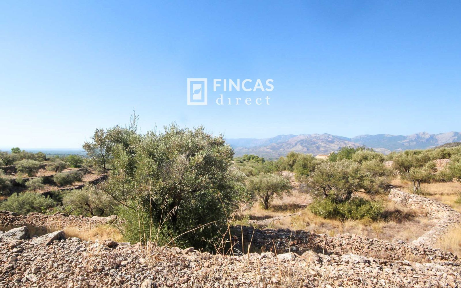 Casa Cueva Única. Fuera de Red cerca de Tivenys: Finca con Licencia Turística y Vistas Panorámicas - Foto 58