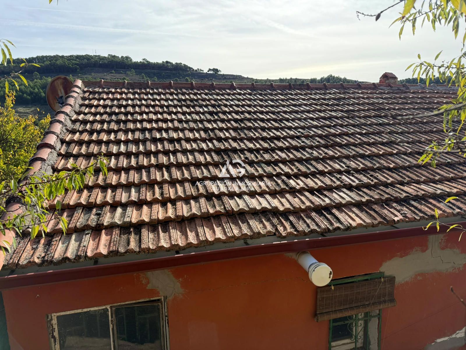 Centenera - vivienda en parcela para reformar - Foto 29