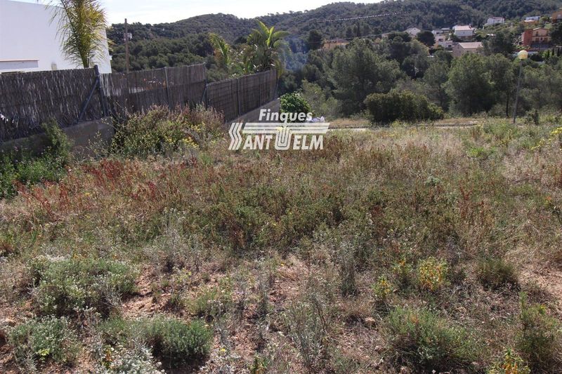 Parcela en venta La Bisbal del Penedes, Tarragona. Ref: 1546. Finques Sant Telm