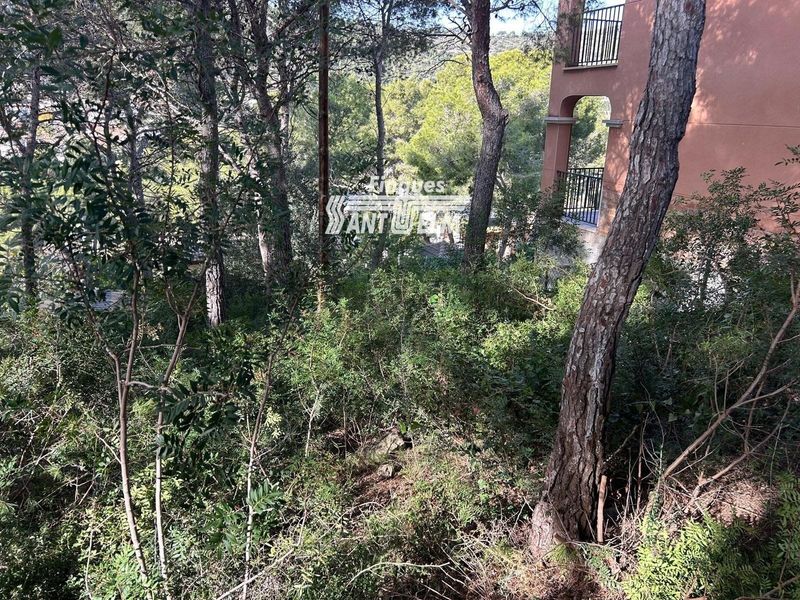 Parcela en venta Segur De Calafell, Tarragona. Ref: 1681. Finques Sant Telm