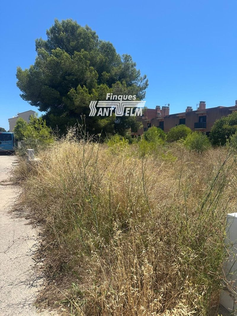 Parcela en venta El Vendrell, Tarragona. Ref: 1692. Finques Sant Telm