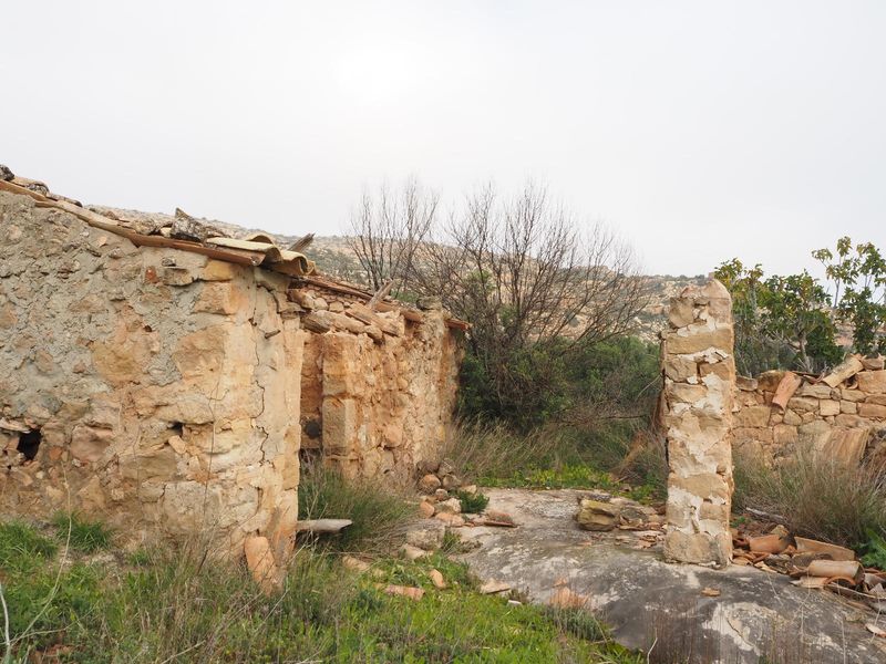Terreny rústic en venda Granadella, La, Lleida. Ref: 1239. Finques Borrell