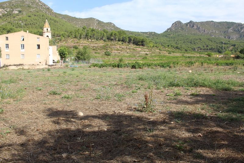 Terreny en venda El Montmell, Tarragona. Ref: 3097. Finques Giró