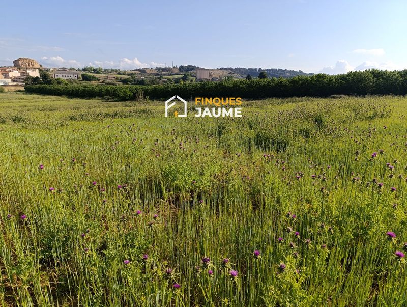 Parcela en venta Almacelles, Lleida. Ref: 1107. Finques Jaume Immobiliària 